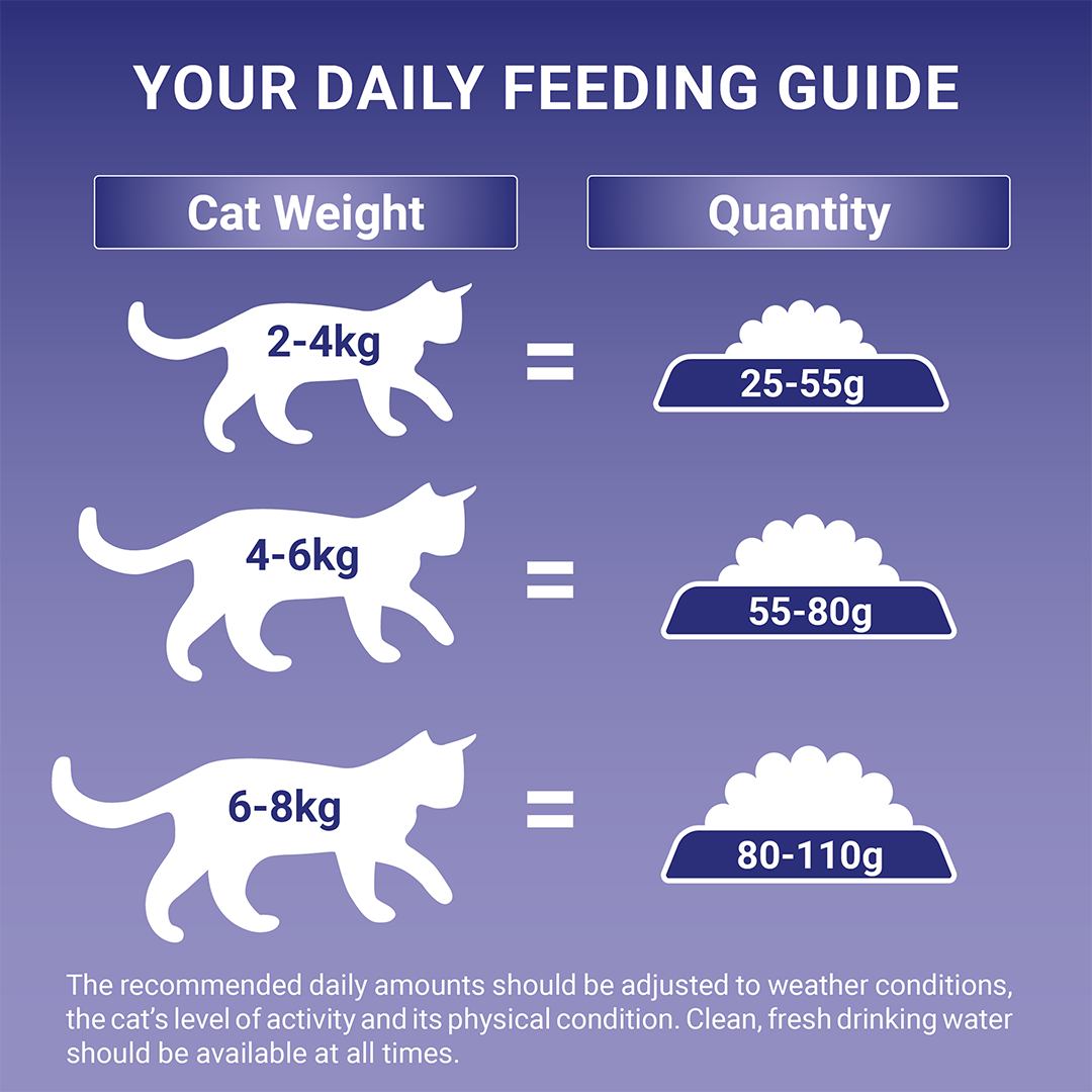 PURINA ONE Indoor Formula Turkey Cat Food Purina UK