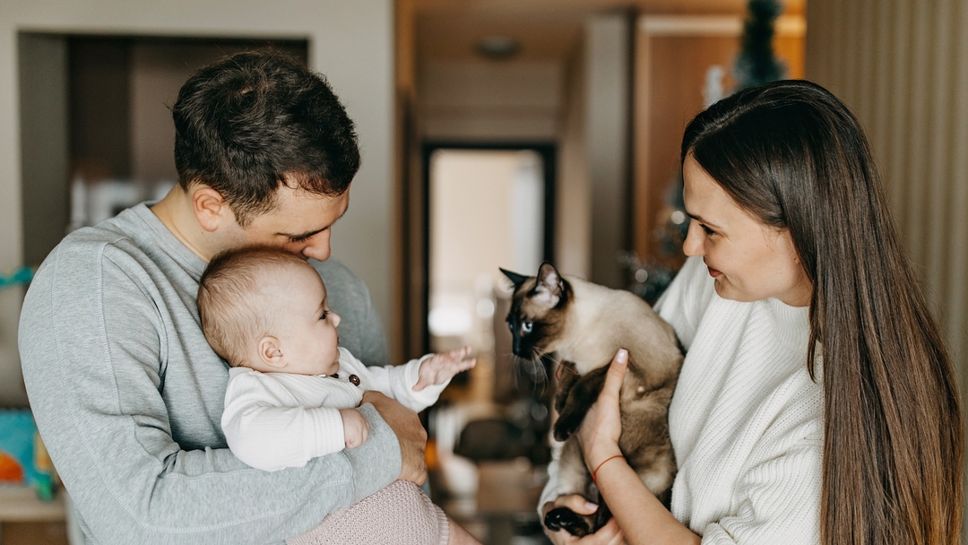 family introducing cat to baby