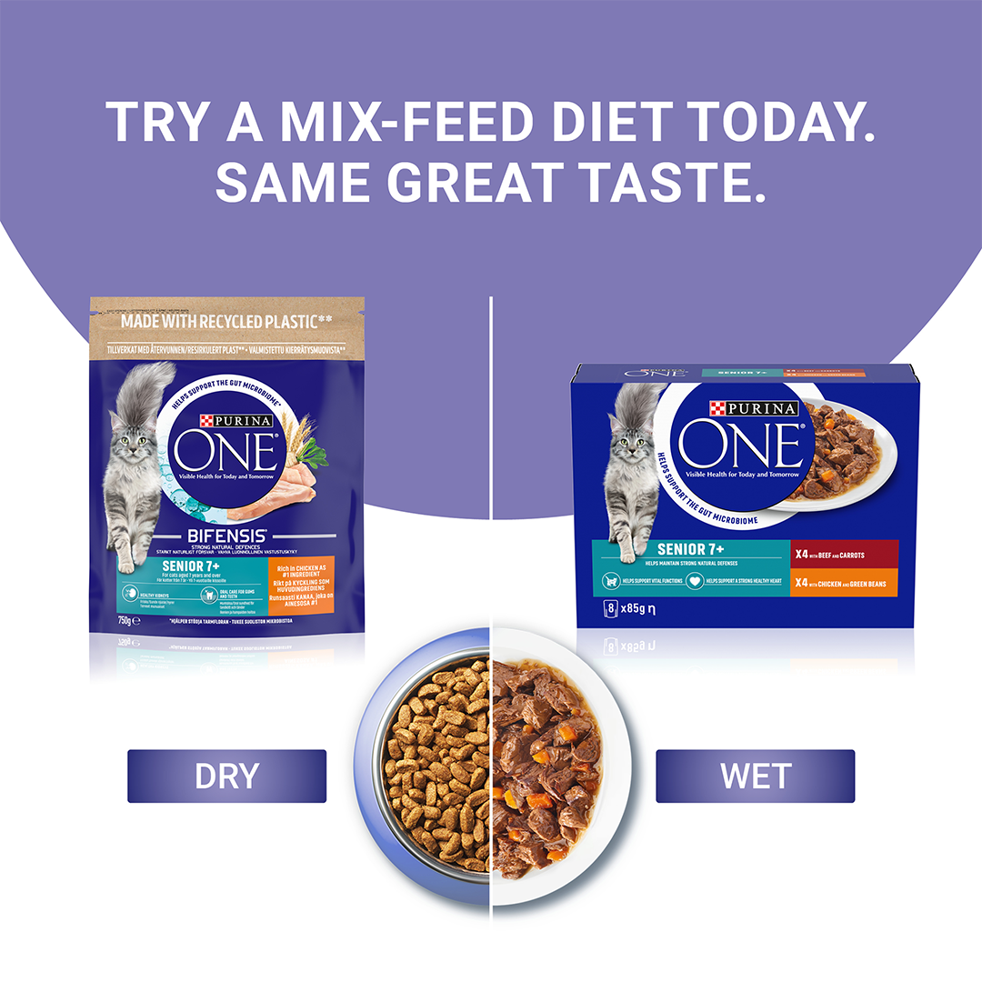 Purina vibrant maturity cat sales food