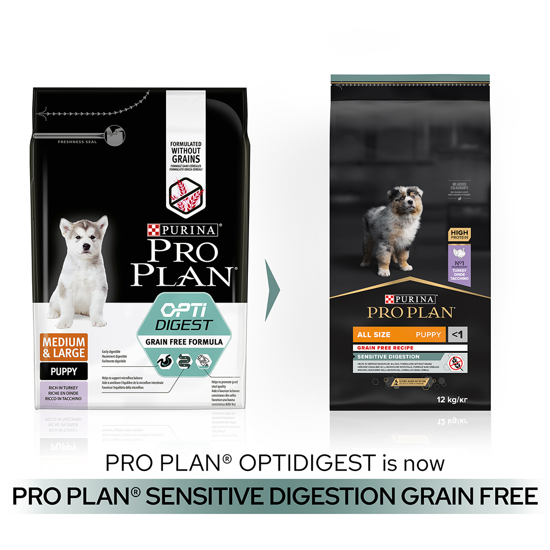 Purina pro hotsell plan puppy food