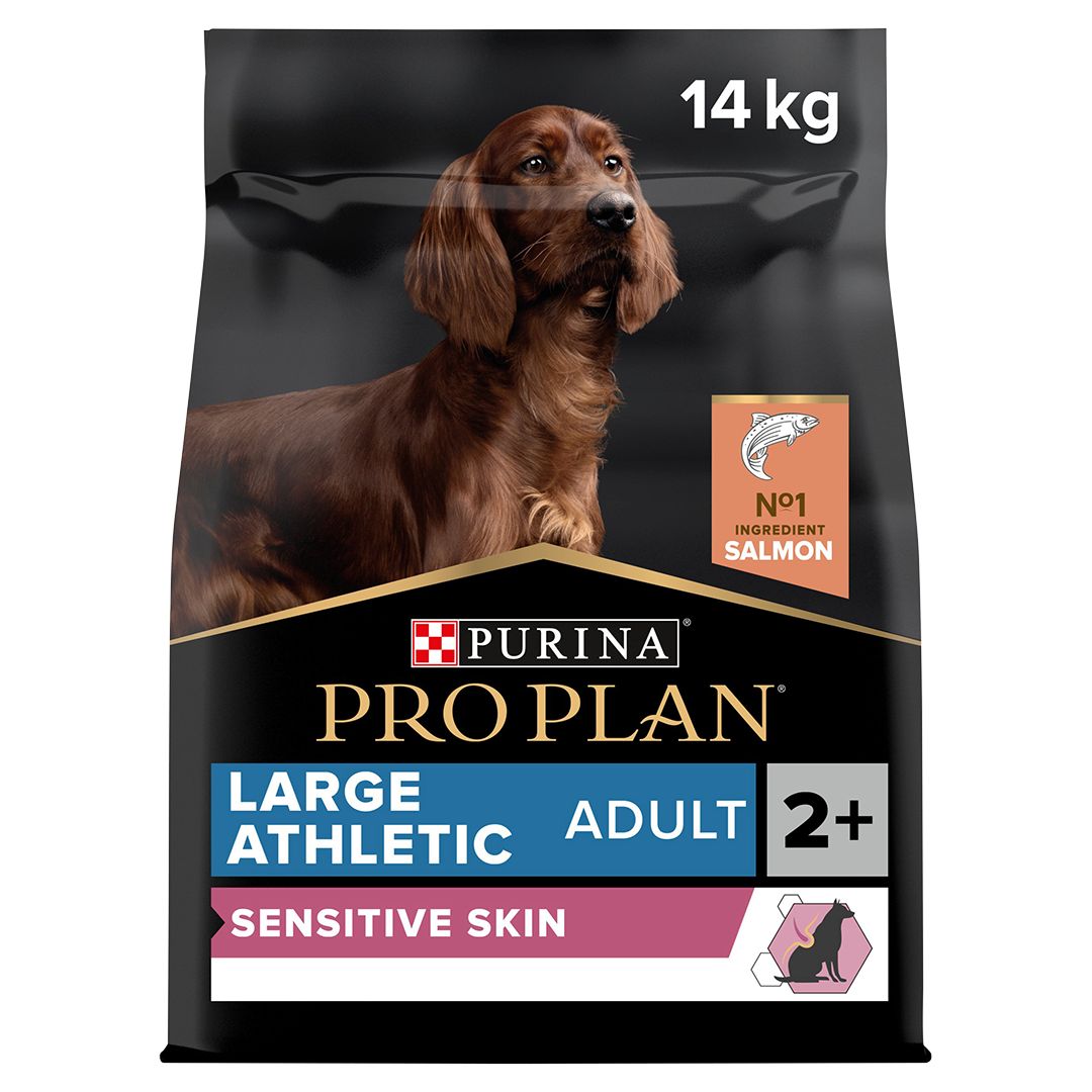 Purina sport salmon 2025