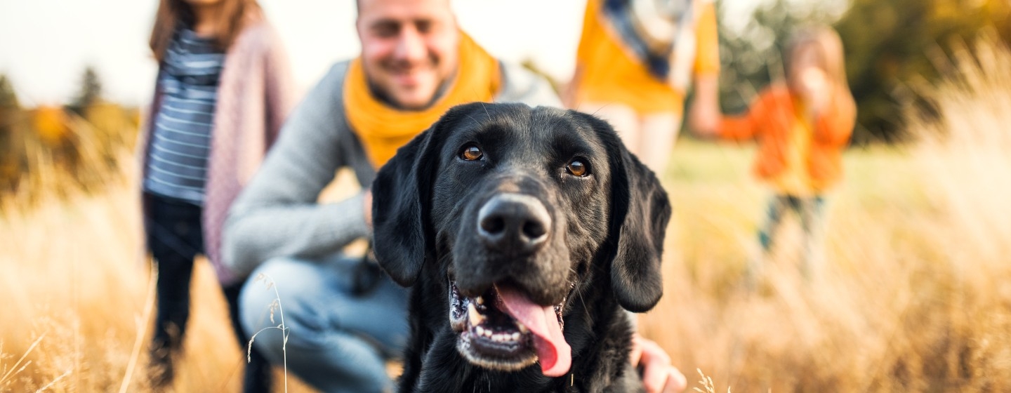 family with dog in a field