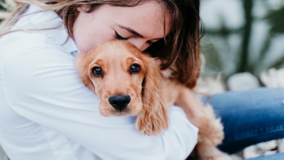 woman kissing dog on head