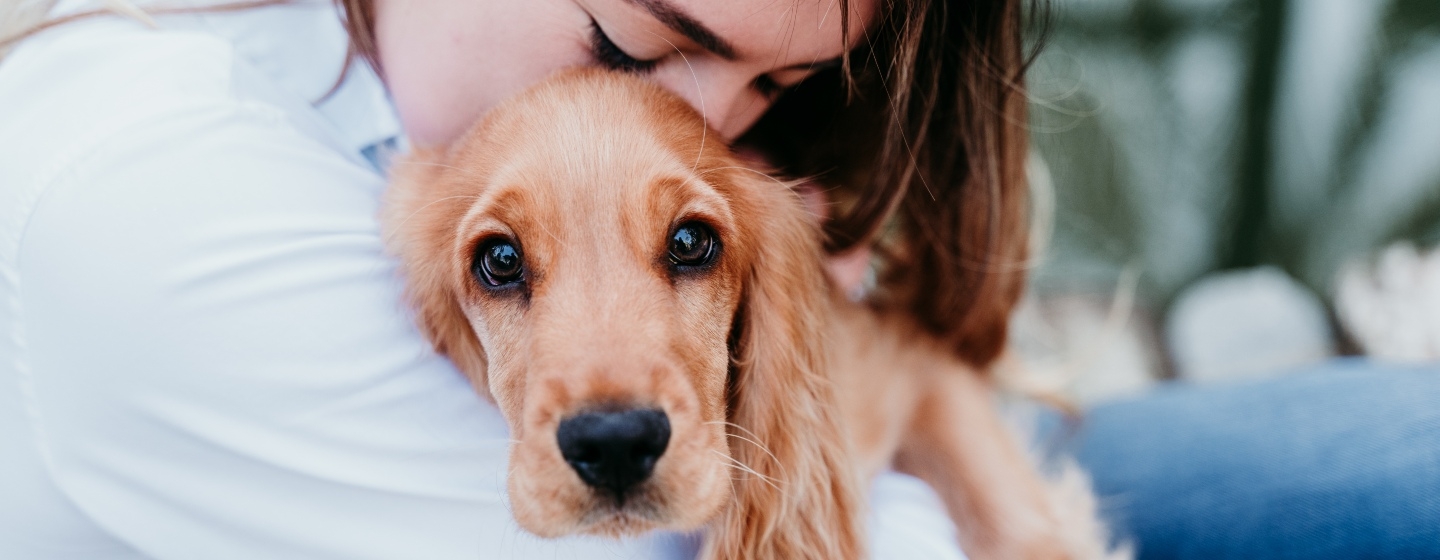 Adopting a dog with the RSPCA | Purina