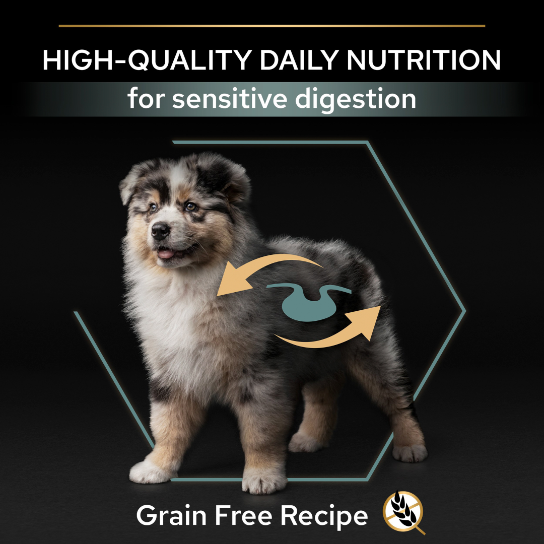 Authority puppy discount grain free