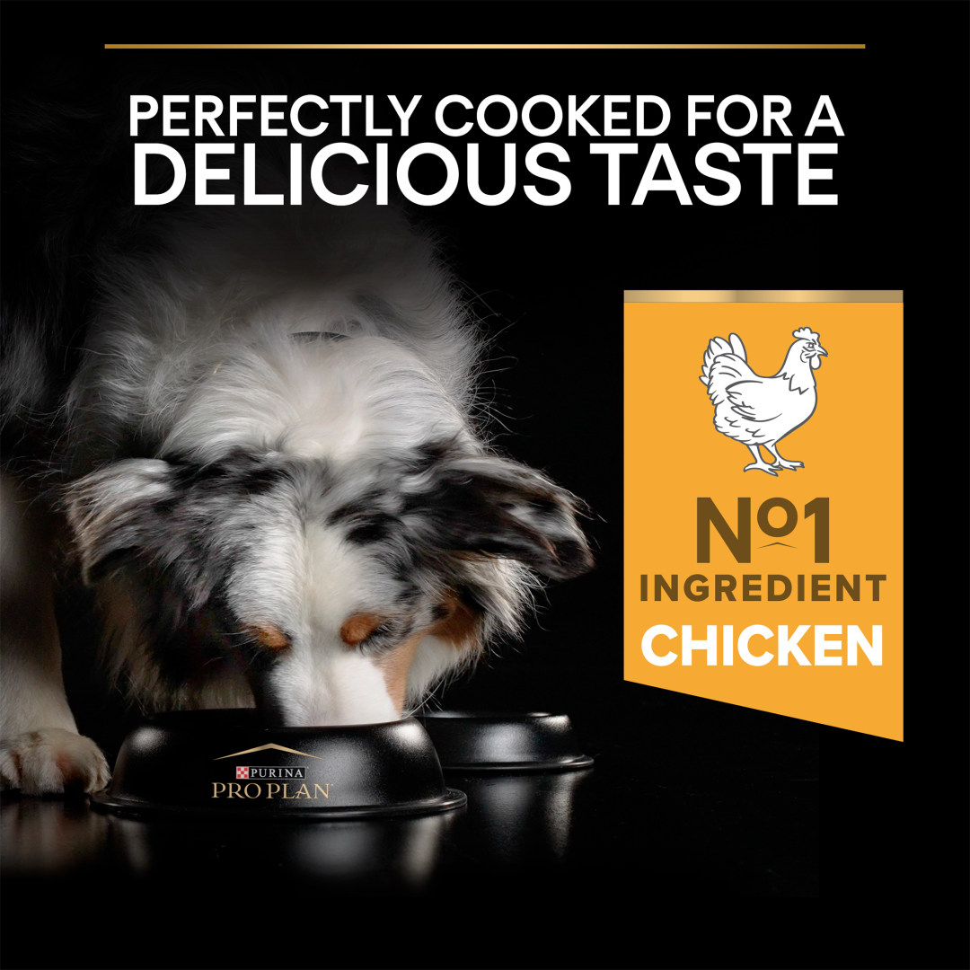 Purina pro life dog food sale
