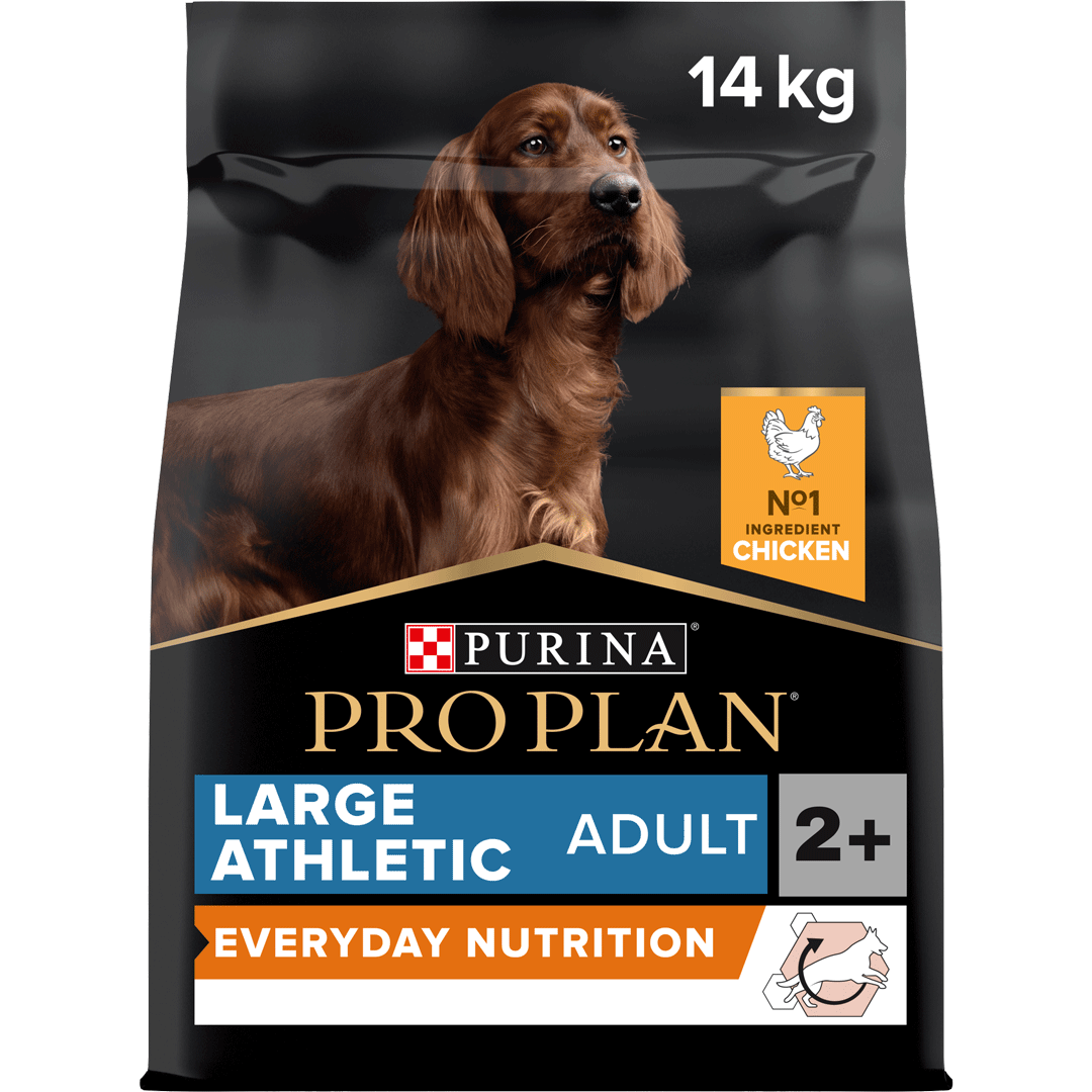 Pro plan athletic dog food online
