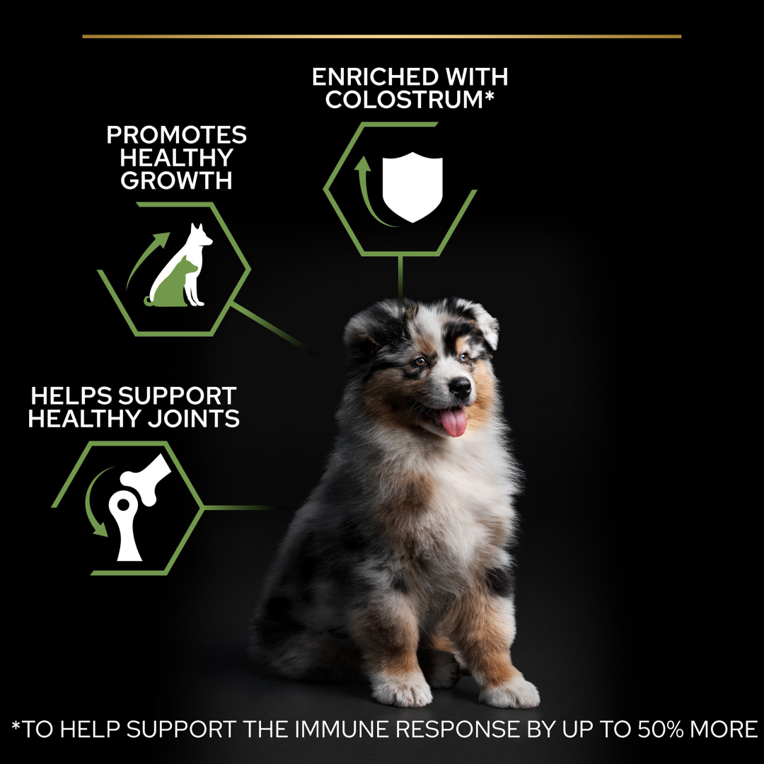 Pro plan puppy food feeding chart clearance