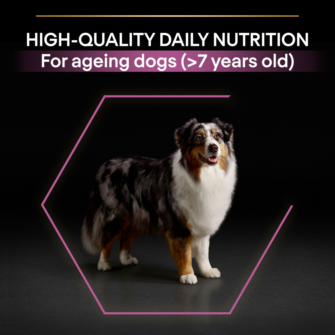 PRO PLAN Medium Large 7 Defence Chicken Dry Dog Food Purina