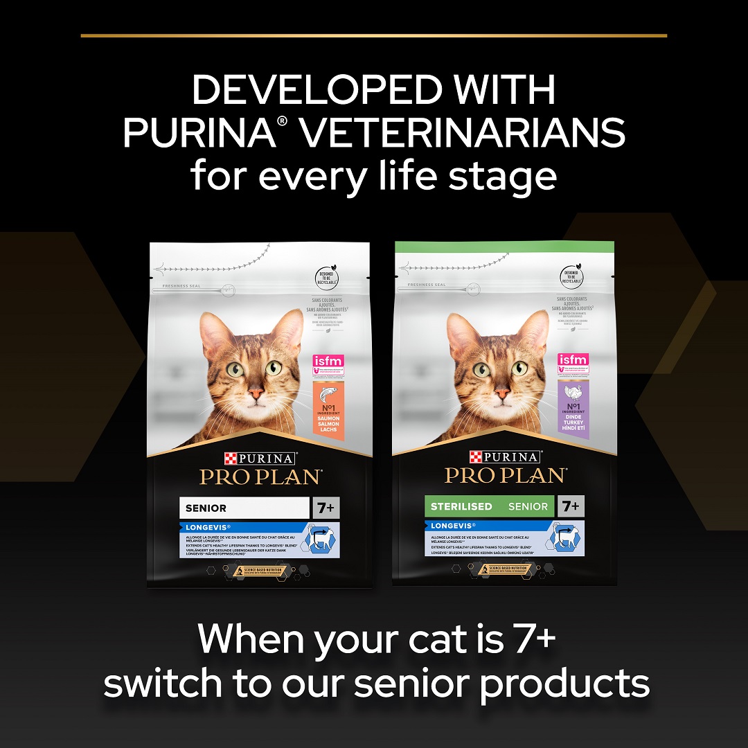 Pro plan adult cat online