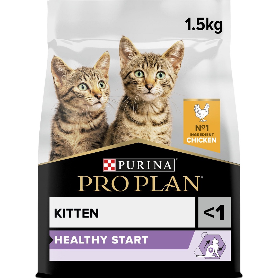 Kitten plan