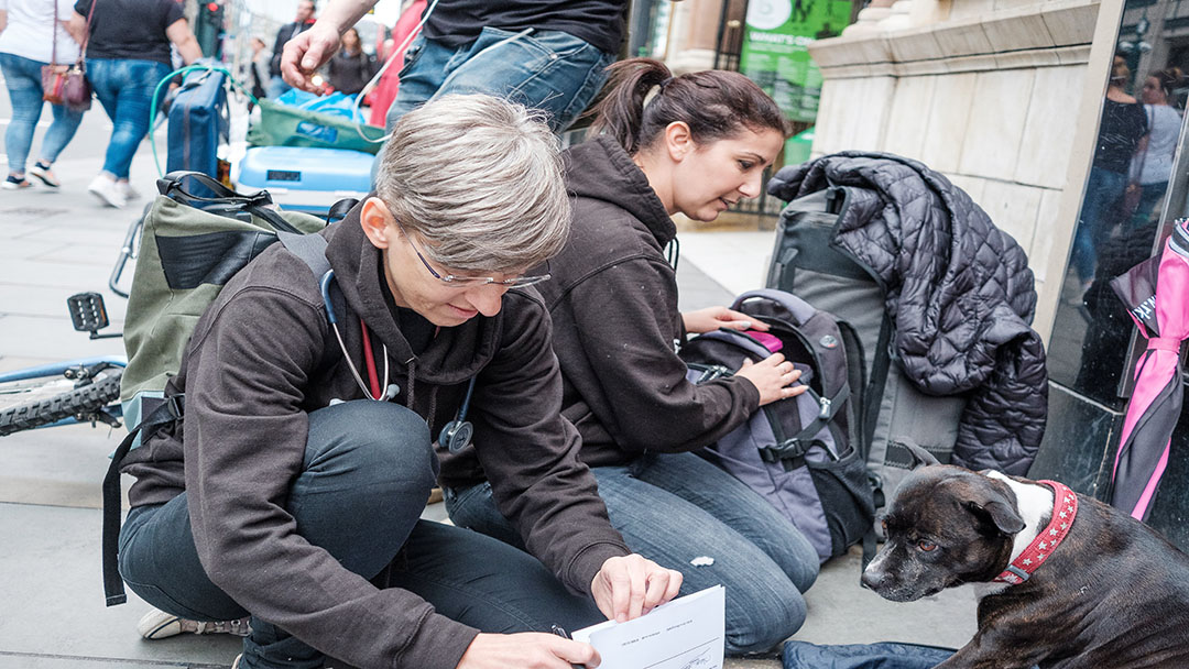 Street vets helping homeless pets