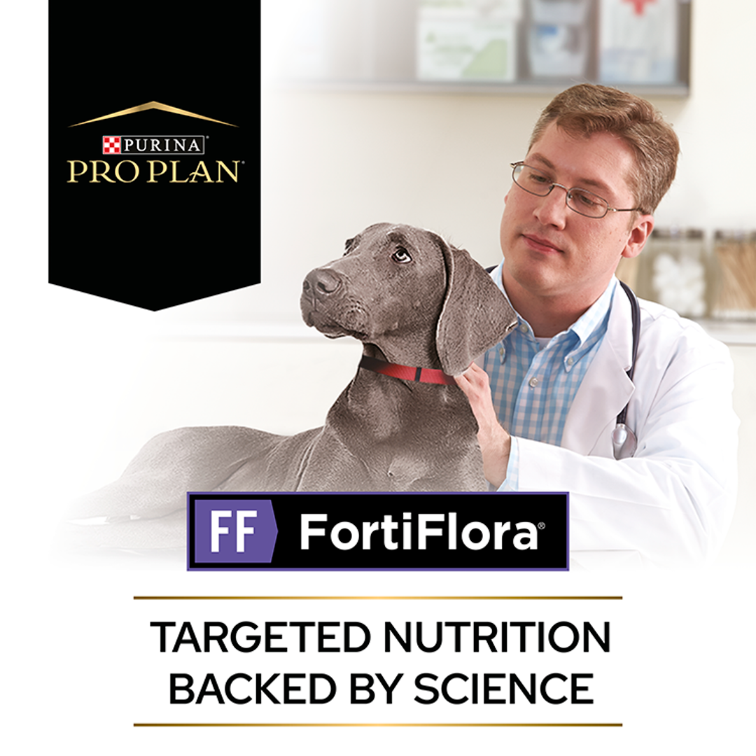 Fortiflora hotsell for puppies