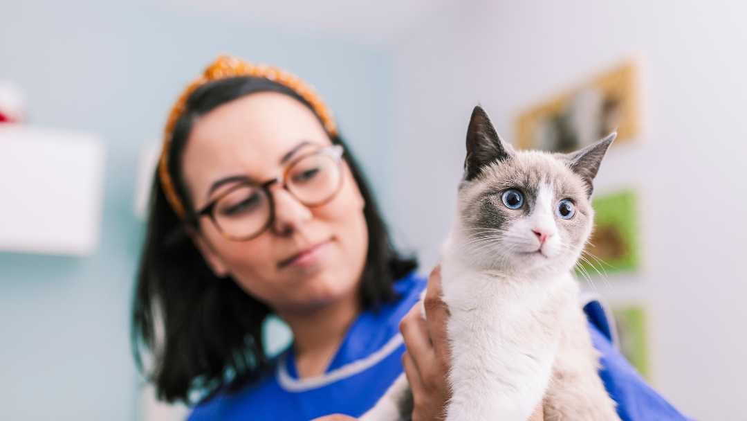 woman holding cat