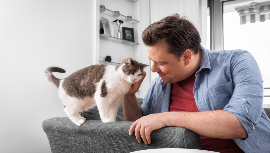 A man stroking his cat's face whilst it stands on the arm of a sofa