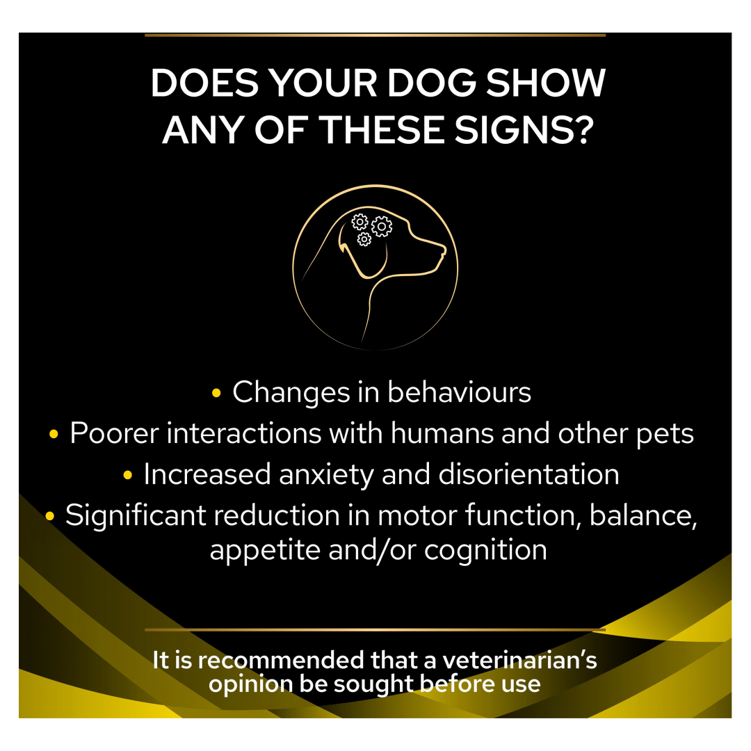 Purina cognitive dysfunction best sale diet