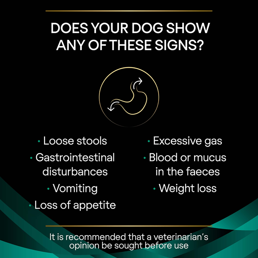 En gastroenteric dog food sales