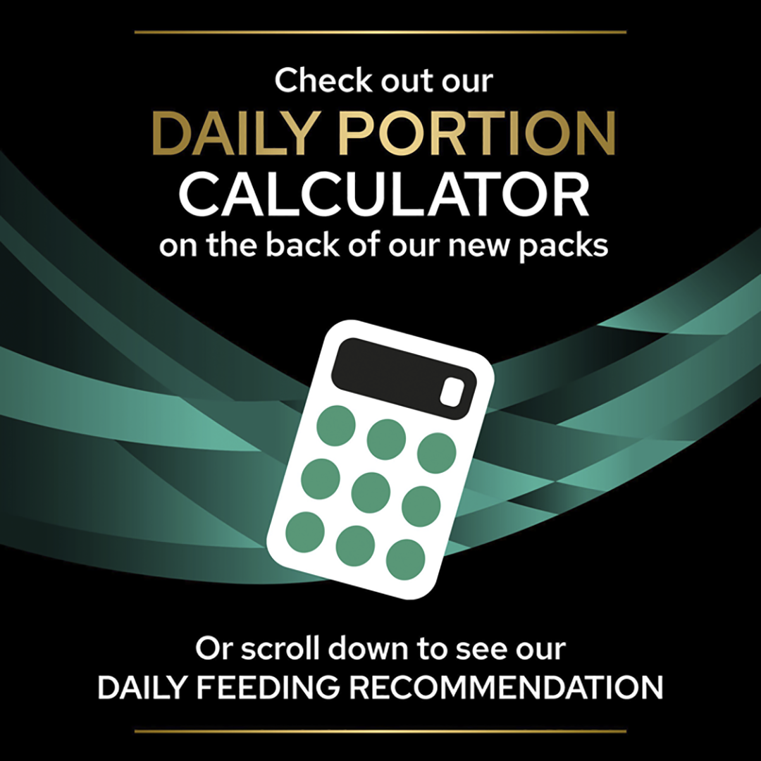 Purina gastrointestinal dog food cheap