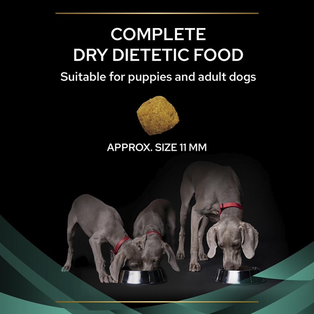 Purina gastroenteric 2025 dog food