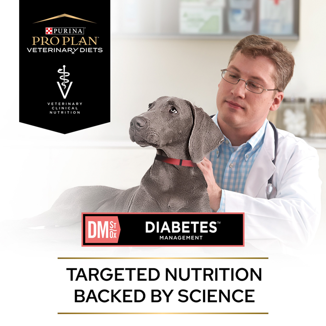 Pro plan diabetic dog food top