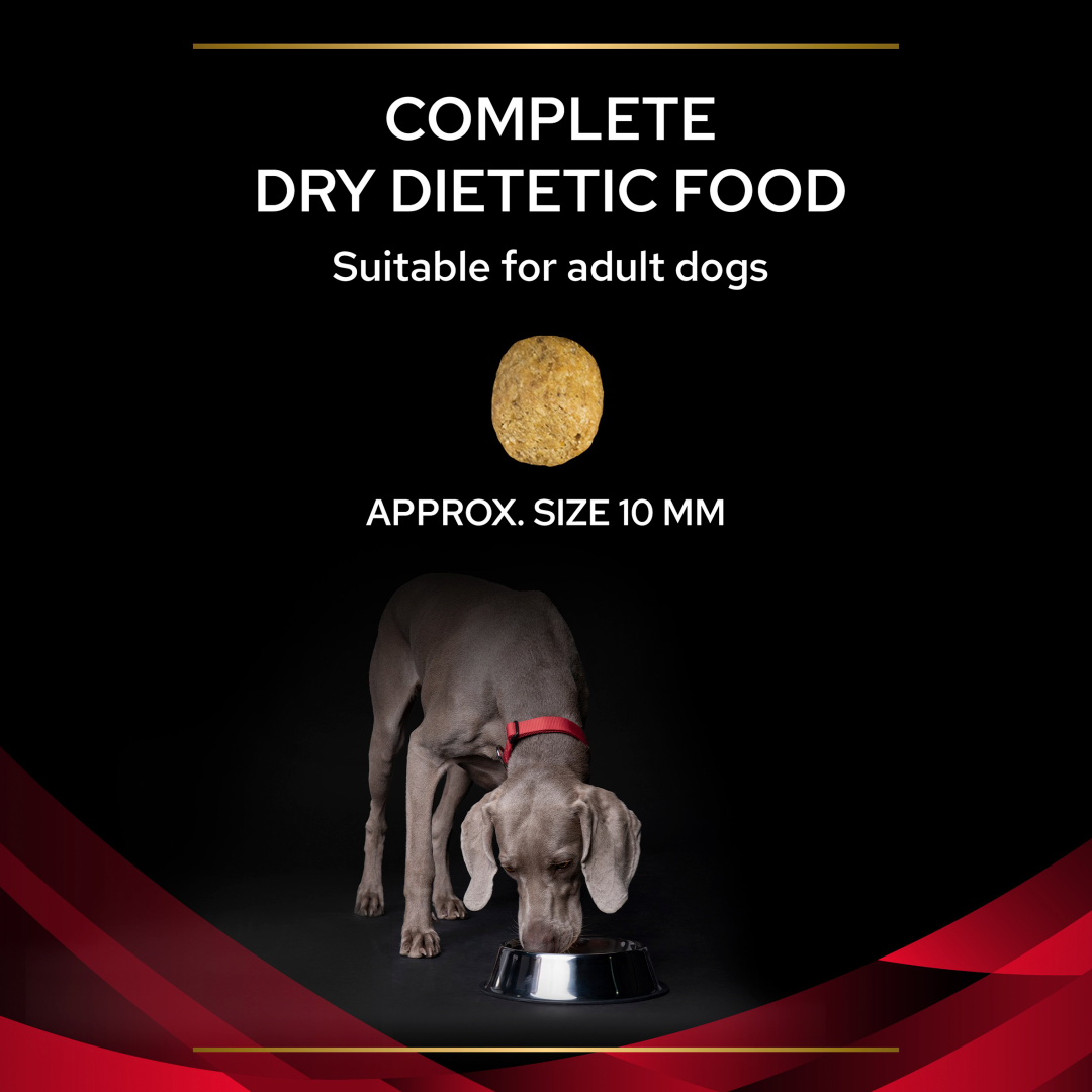 PPVD DM Diabetes Management Dog Food Purina