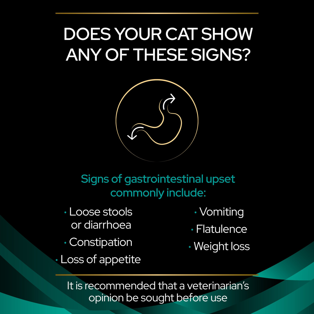 PPVD EN Gastrointestinal Dry Cat Food Purina