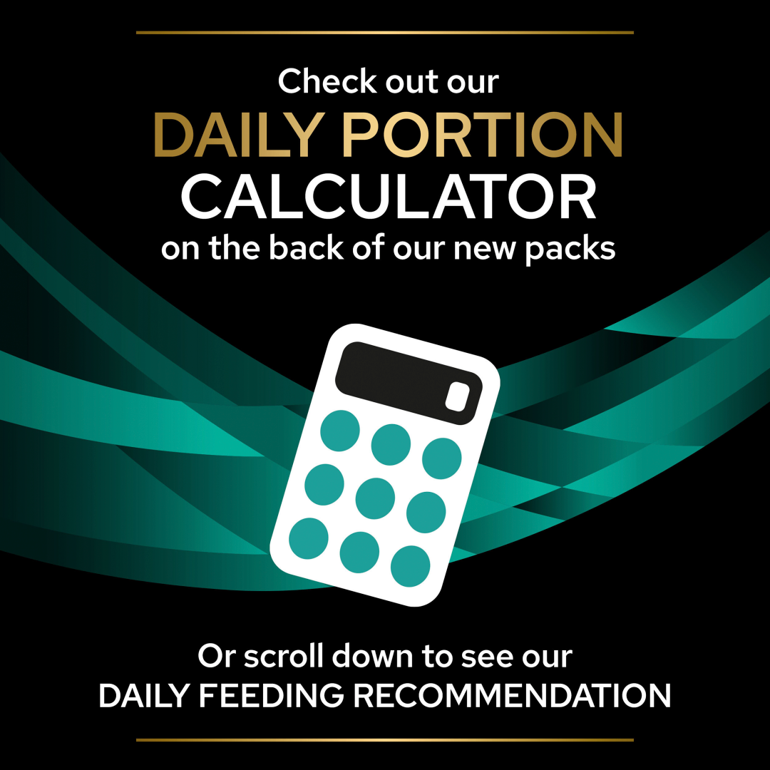 Purina gastroenteric cat food sales