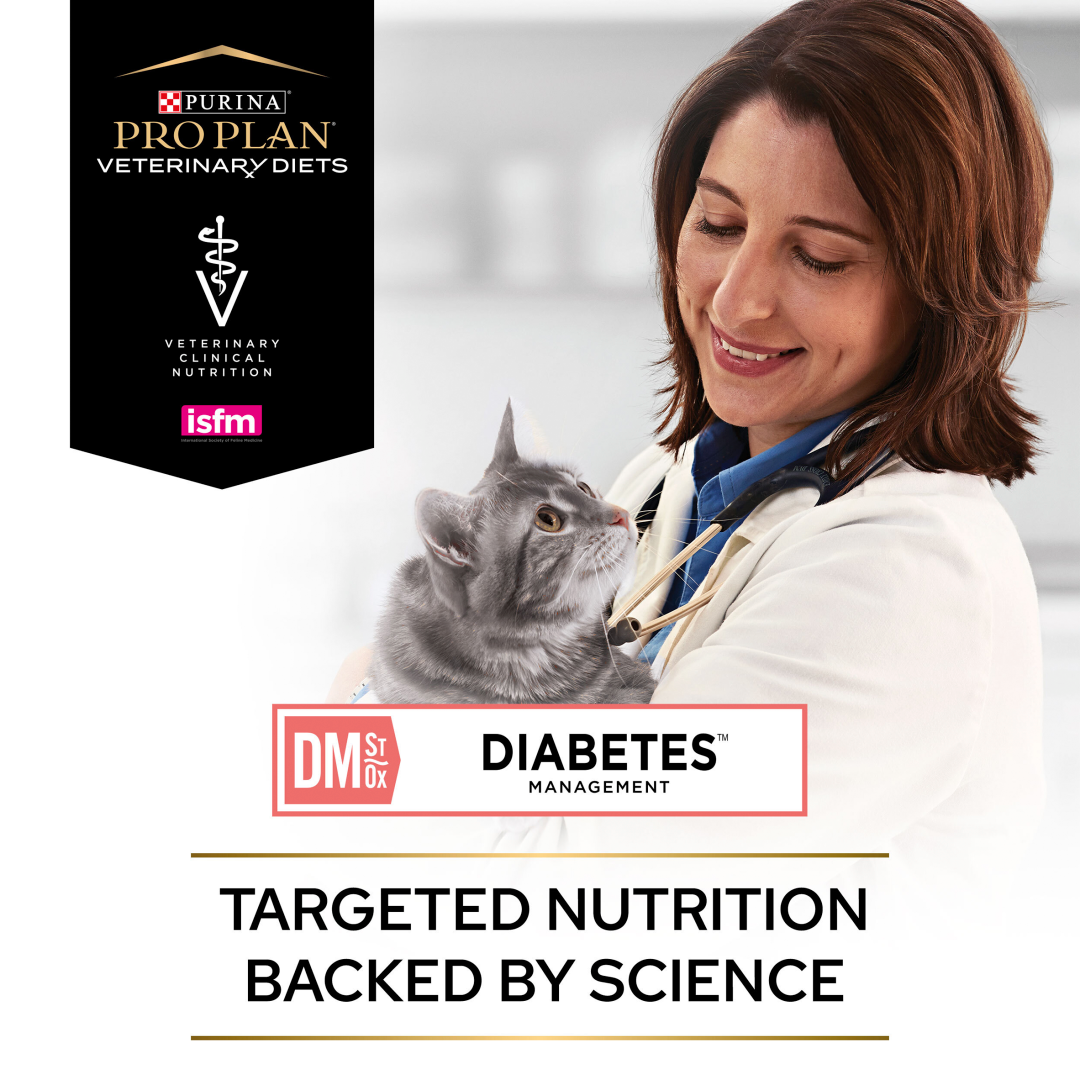 Dm sales cat food