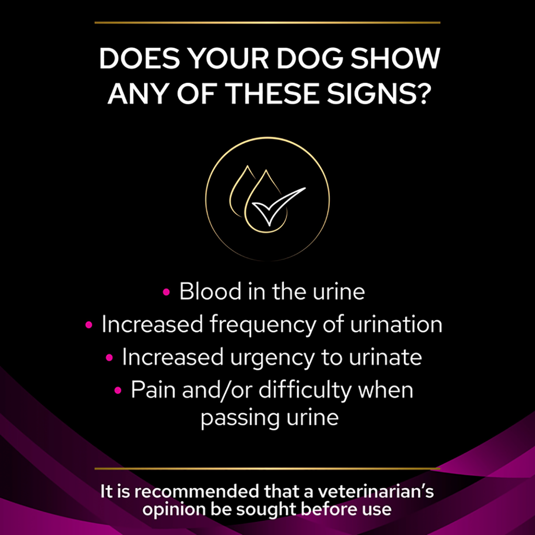 Purina outlet urinary dog