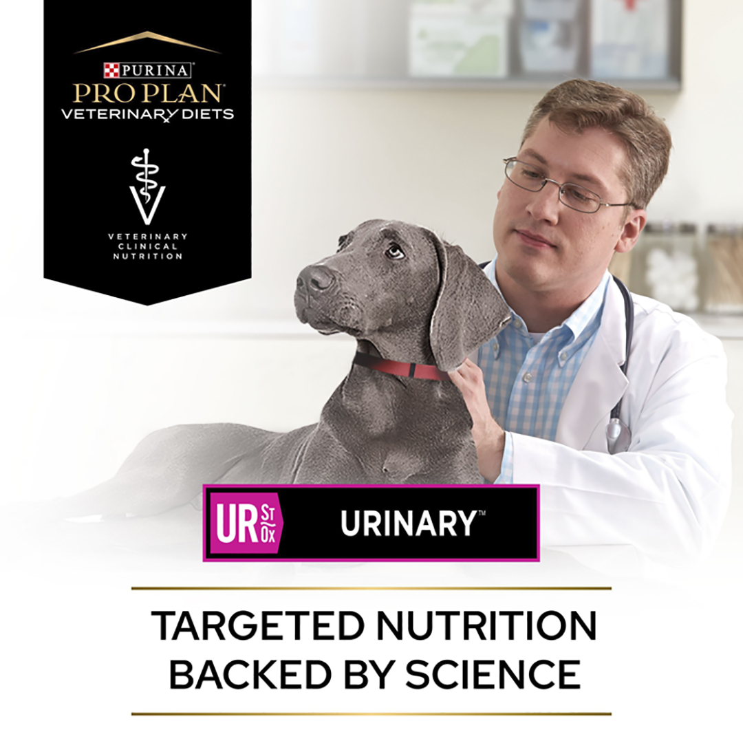 PPVD UR Urinary Dog Food Purina