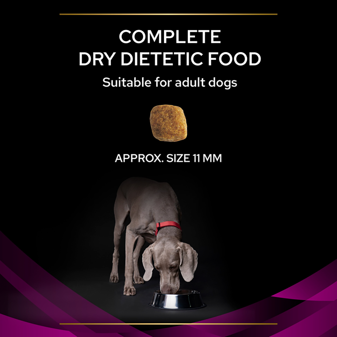 Urinary diet deals dog food