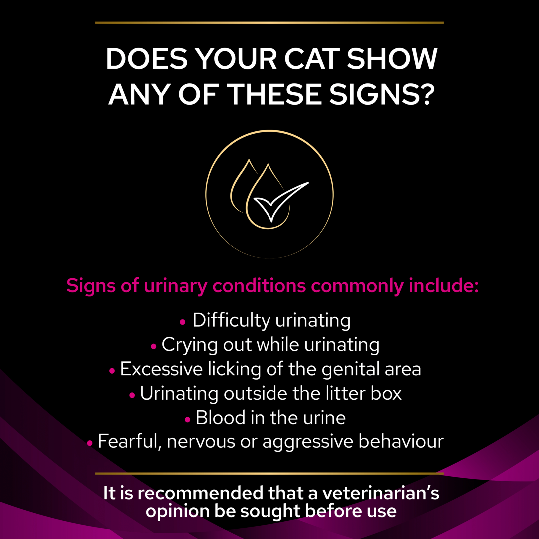 Feline ur deals