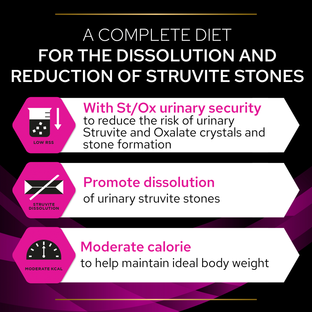 Best cat food store for struvite crystals