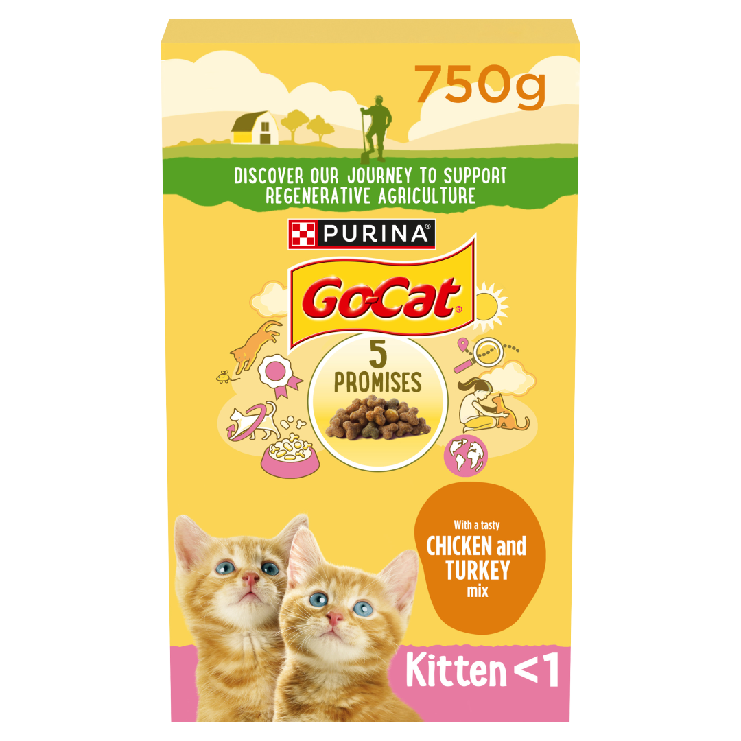Purina go cat kitten sale