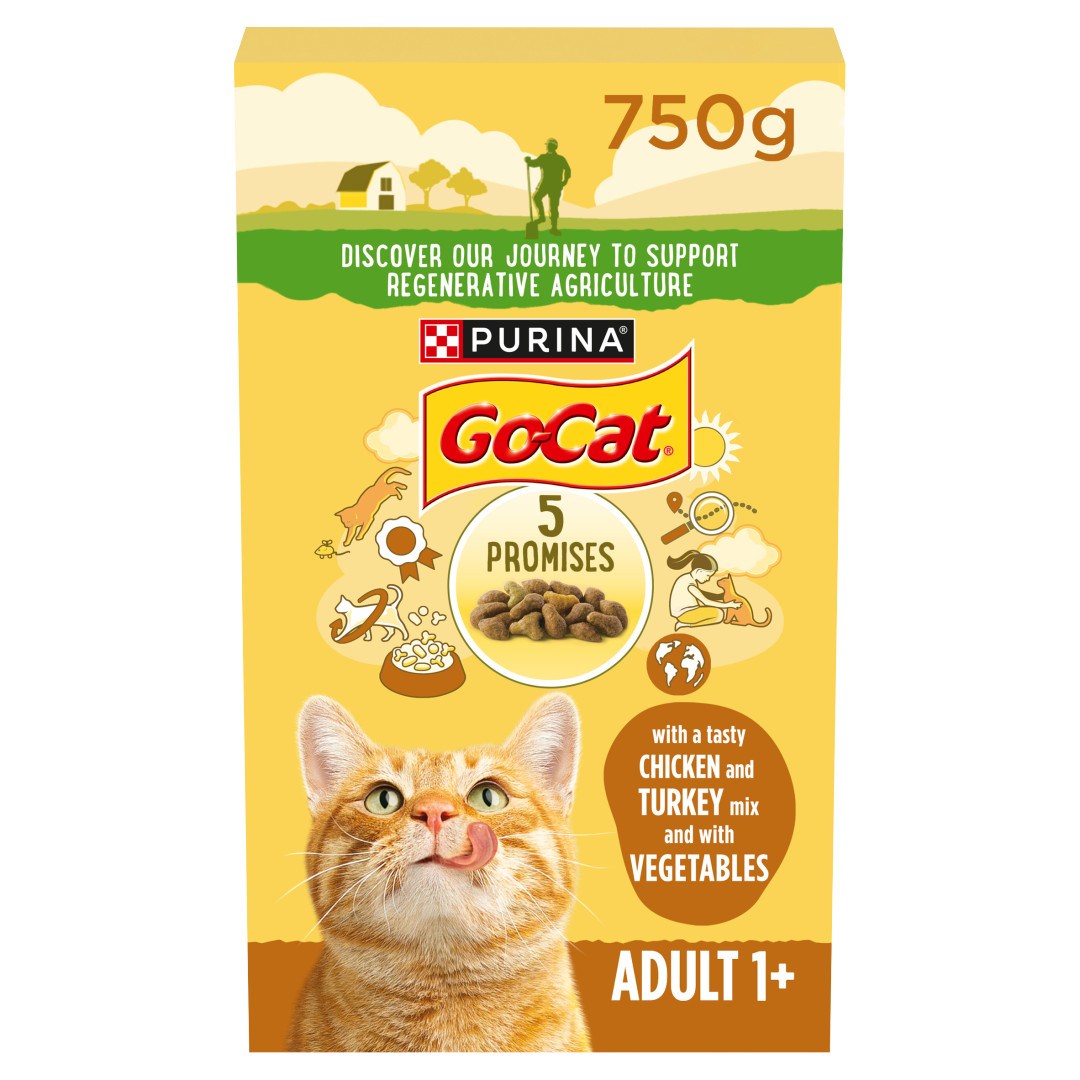 Cheap dry top cat food