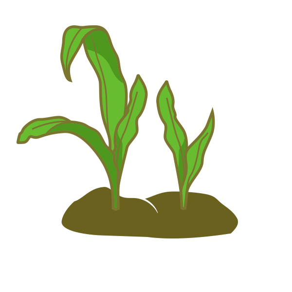 Introducing Regenerative Agriculture Practices