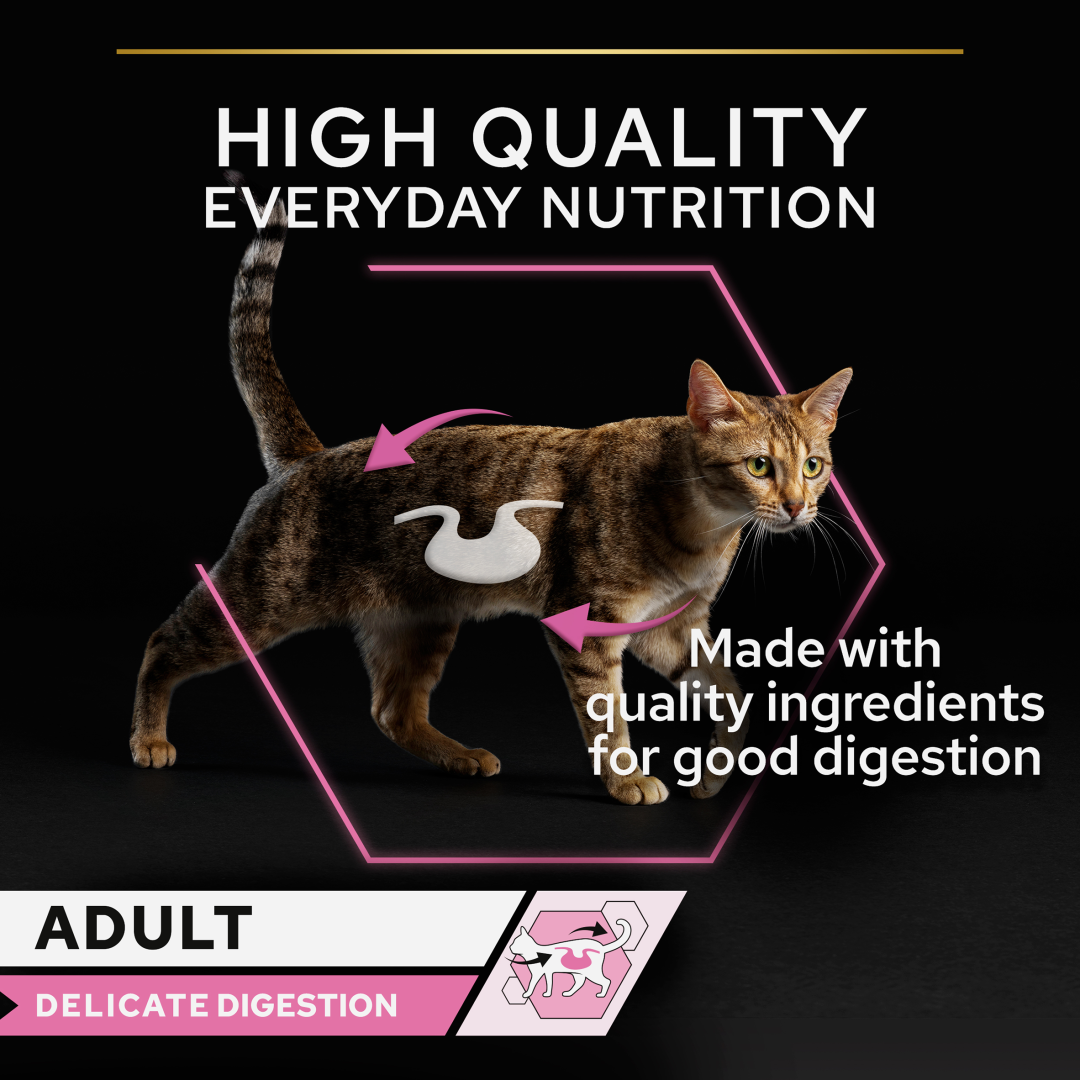 PRO PLAN Delicate Digestion Turkey Wet Cat Food Purina