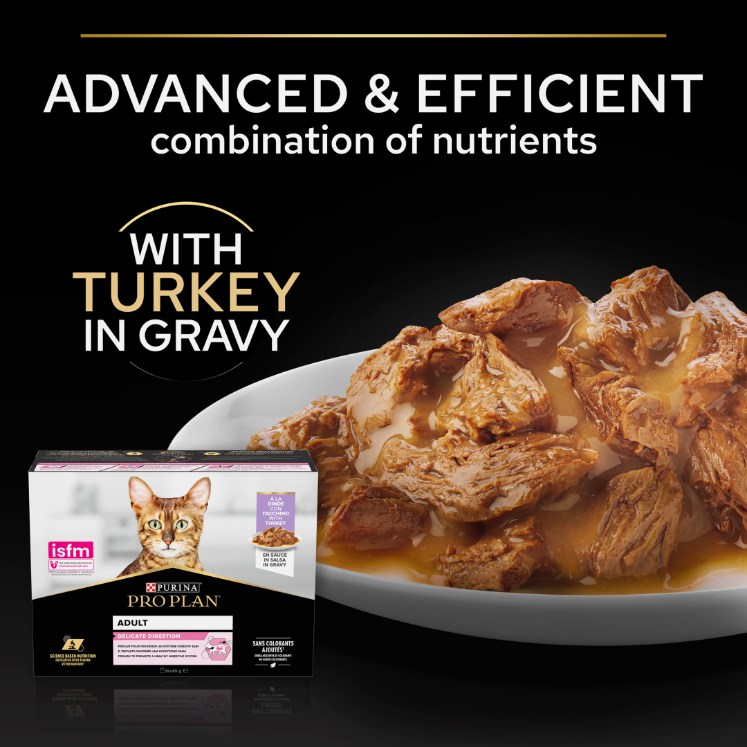 PRO PLAN Delicate Digestion Turkey Wet Cat Food Purina