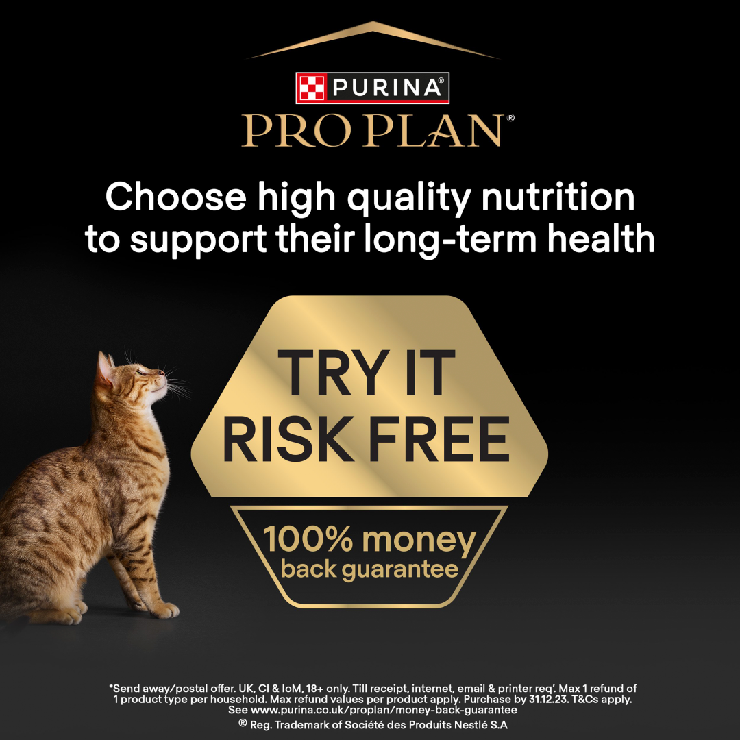 Pro plan delicate turkey outlet