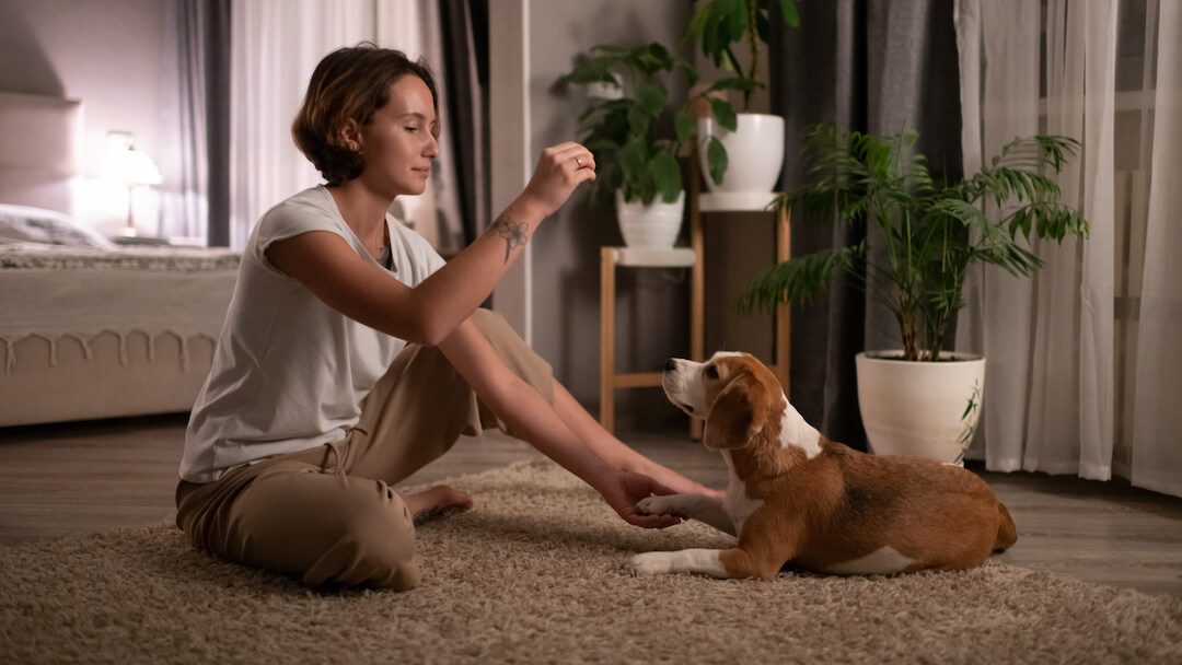 Woman training dog