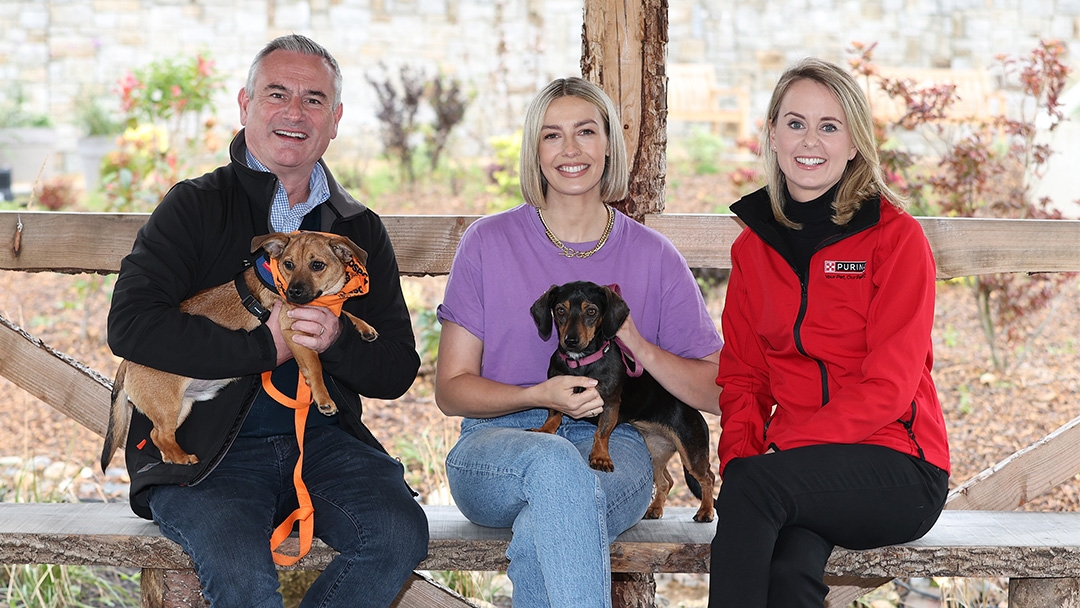 DSPCA and Purina representatives sat on a bench