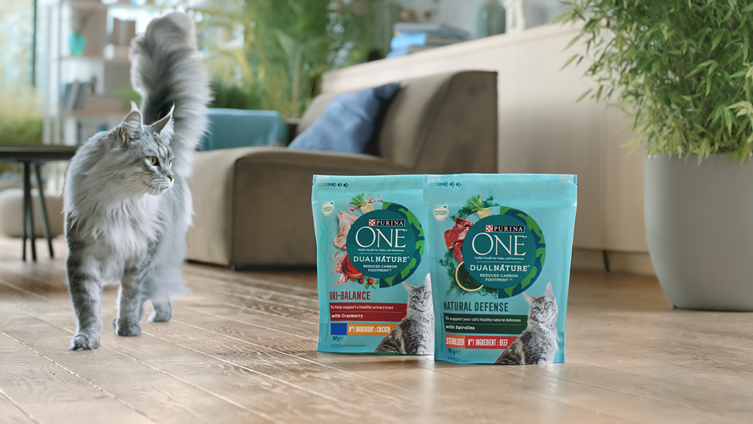 Purina ONE cat walking past Dual Nature products