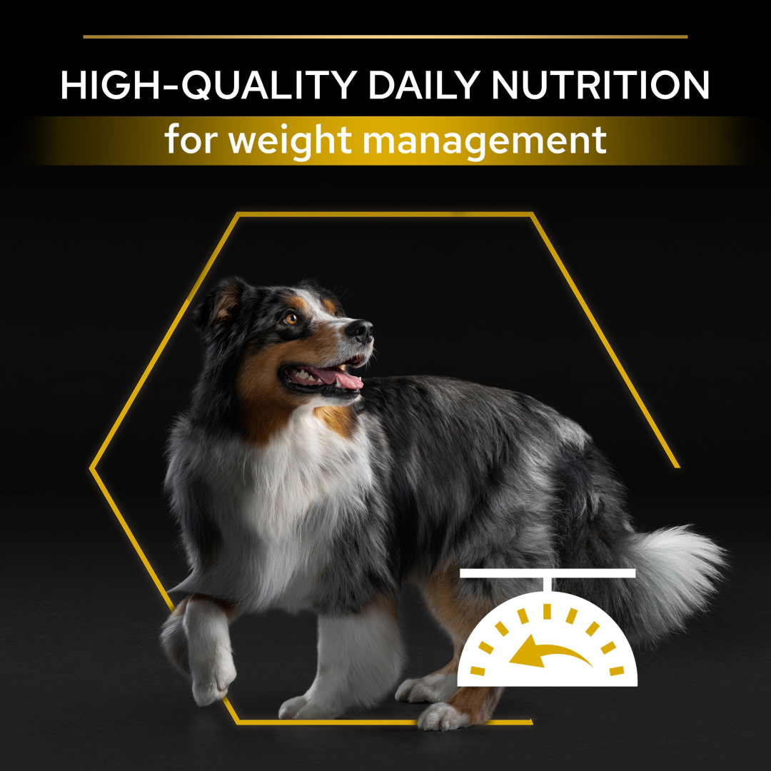 PRO PLAN Light Sterilised Chicken Dry Dog Food Purina