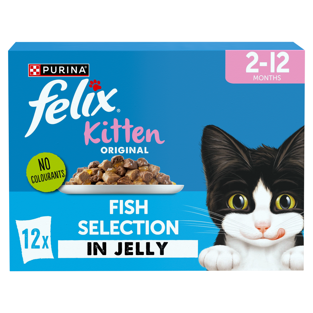 Fish kitten food outlet