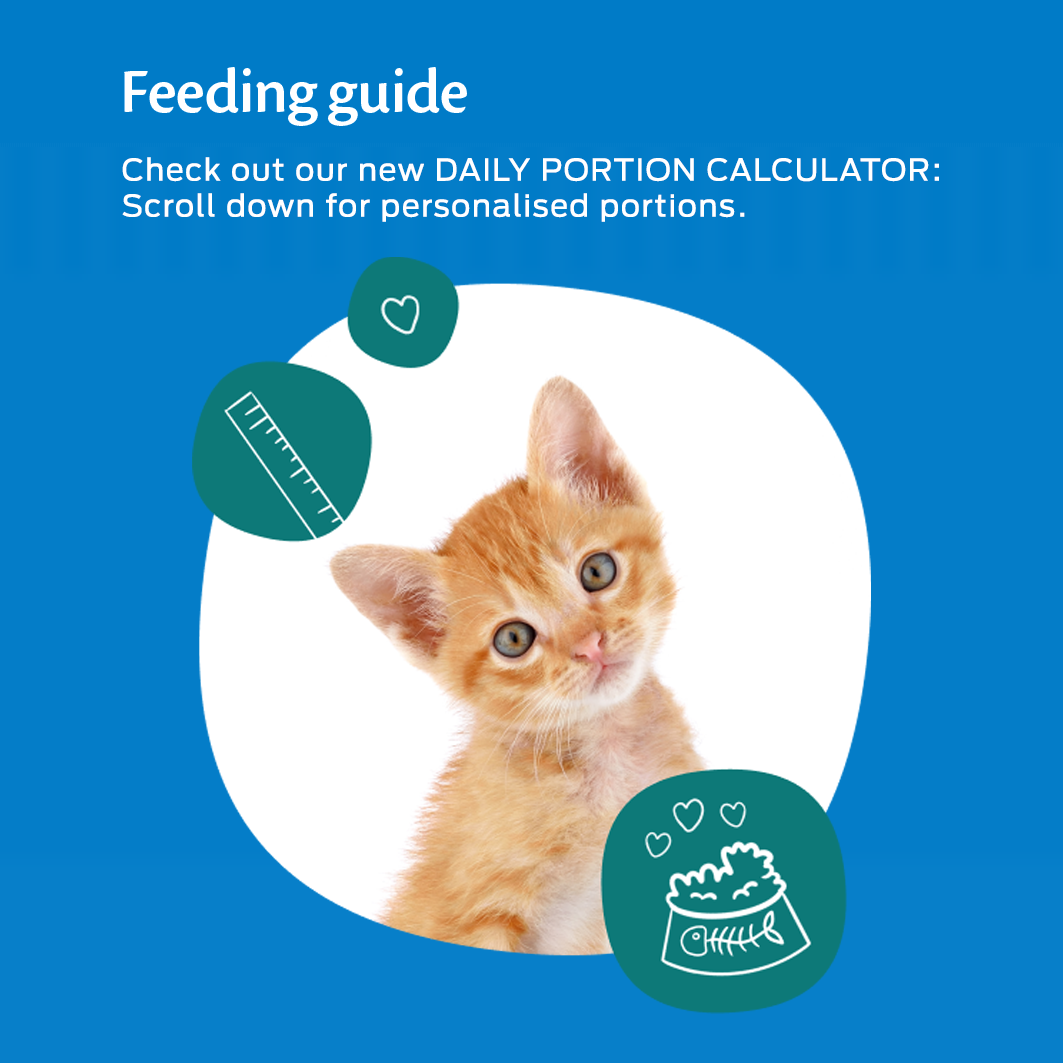 Felix kitten feeding guide hotsell