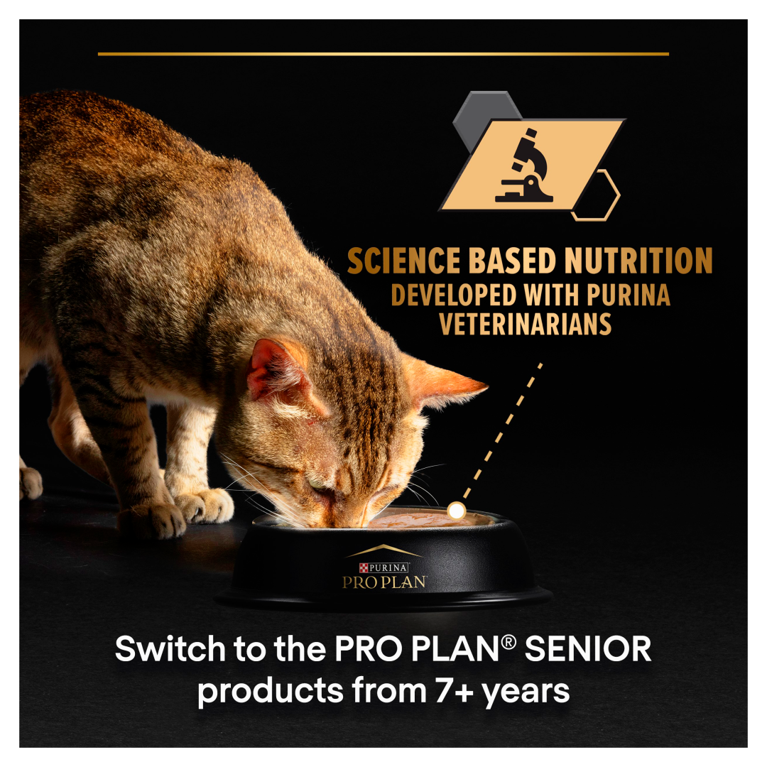 PRO PLAN® Delicate Digestion Ocean Fish Turkey Adult Wet Cat
