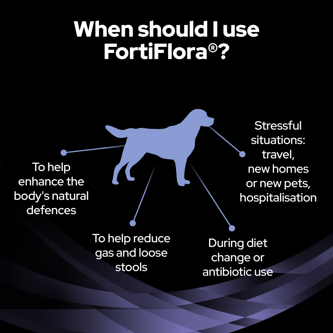 PRO PLAN Fortiflora Probiotic Dog Supplement Purina