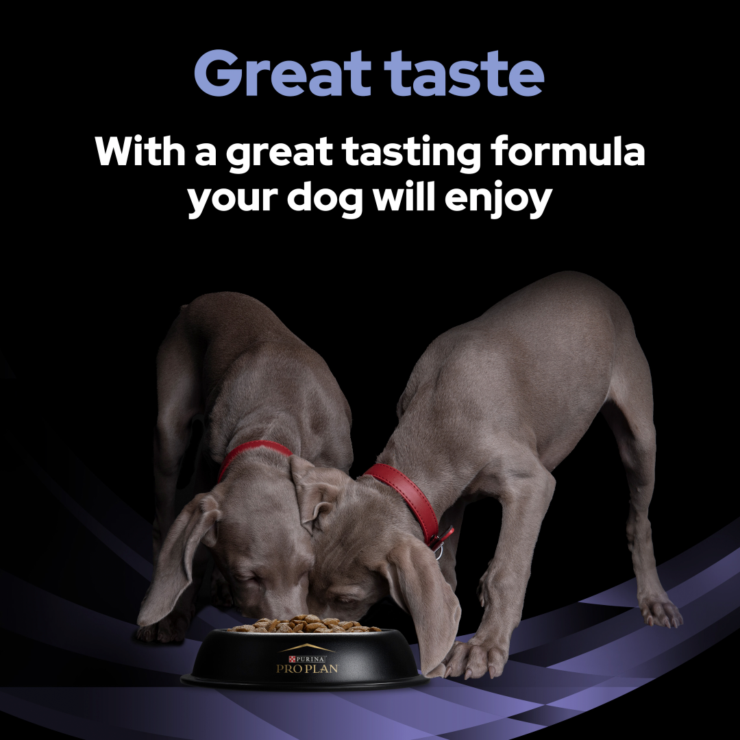Pro plan fortiflora for dogs side effects top