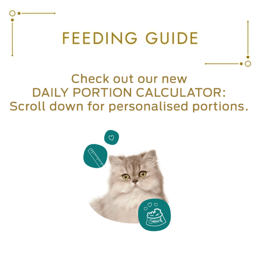 Gourmet solitaire cat food deals