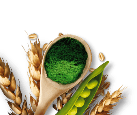 Ingredients_Footer